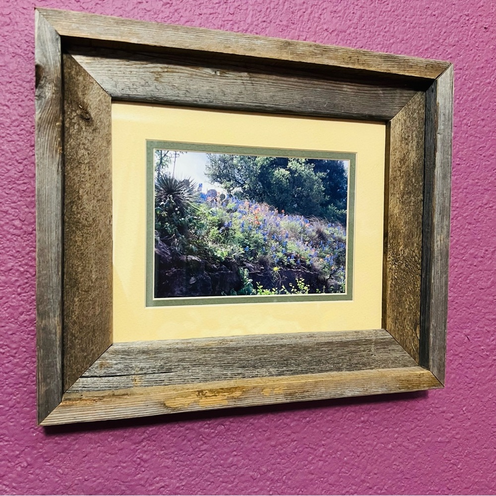 Framed Photo of Texas Hill Country-Blue Bonnets, Cactus: Padgett Photography